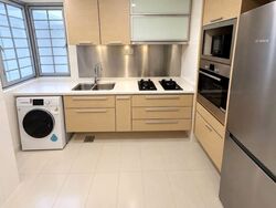8 @ Mount Sophia (D9), Condominium #619369781
